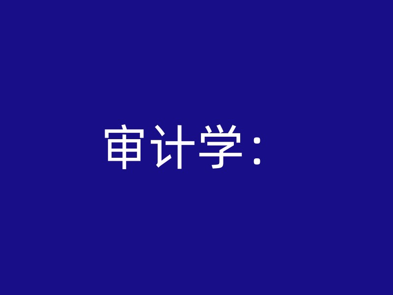 审计学：