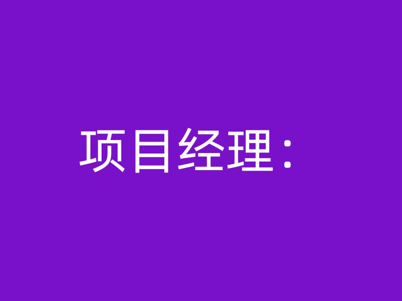 项目经理：