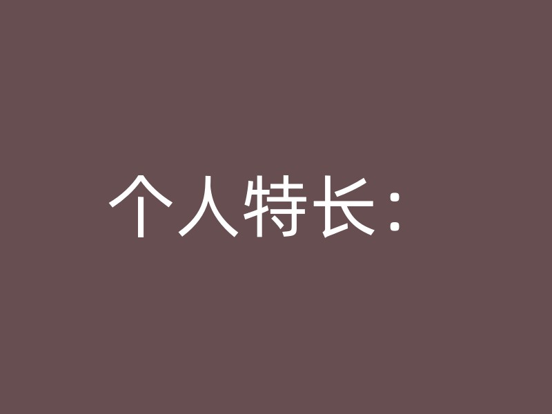 个人特长：