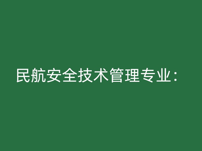 民航安全技术管理专业：