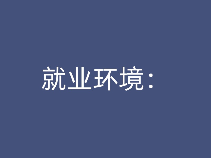 就业环境：