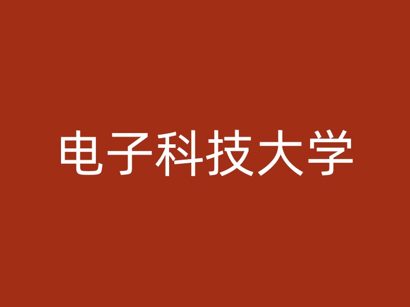 电子科技大学