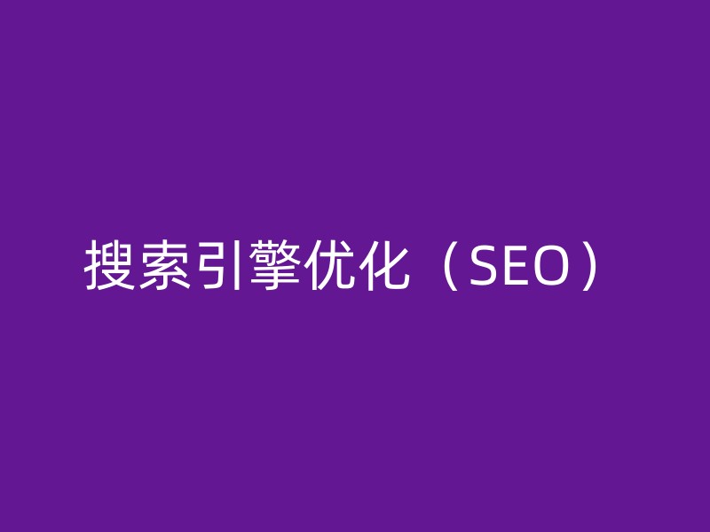 搜索引擎优化（SEO）