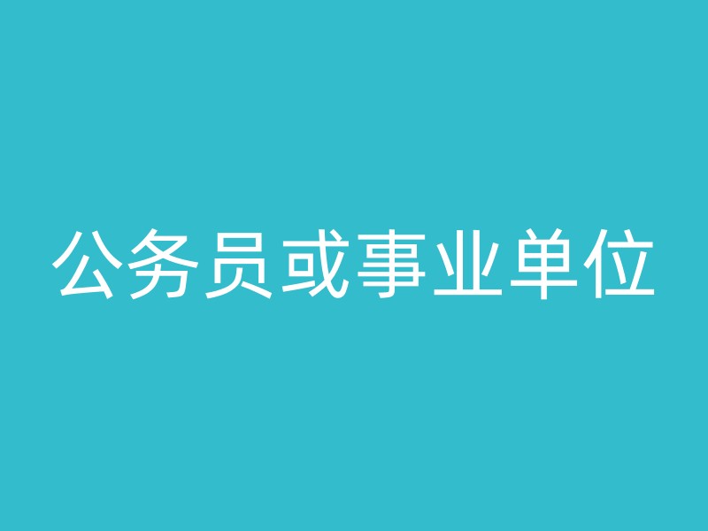 公务员或事业单位