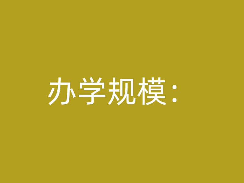 办学规模：