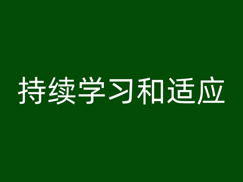 持续学习和适应