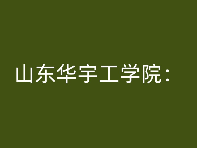 山东华宇工学院：