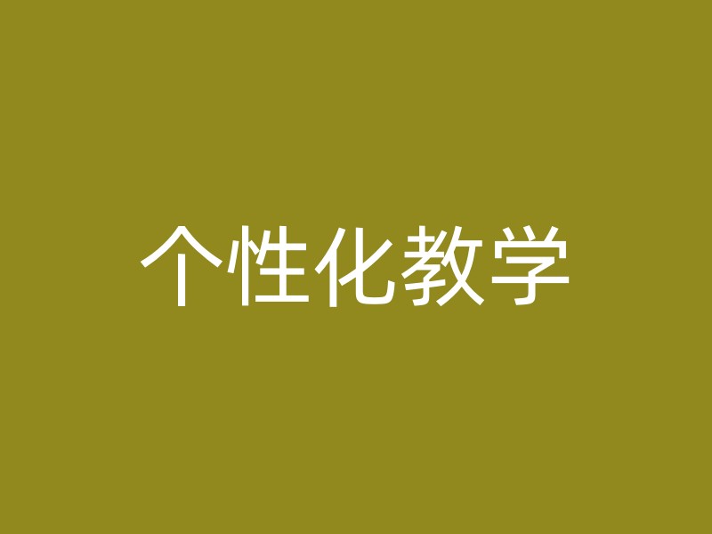 个性化教学