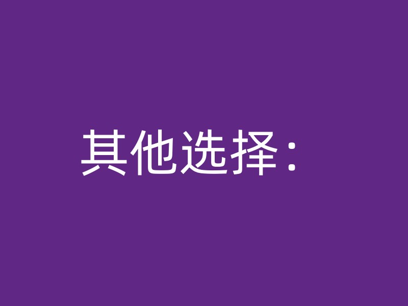 其他选择：