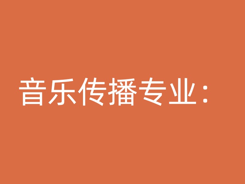 音乐传播专业：