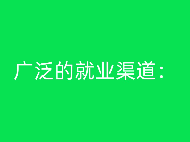 广泛的就业渠道：