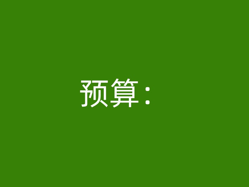 预算：