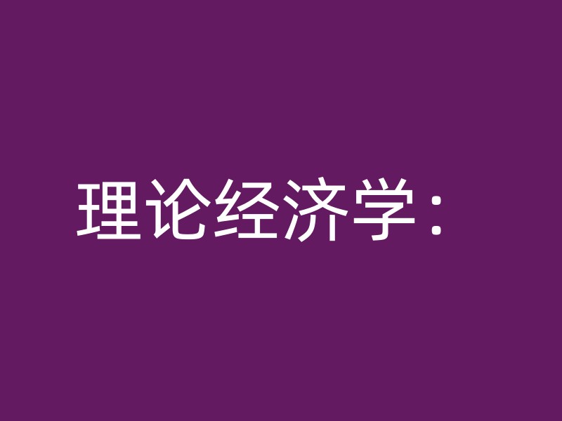 理论经济学：