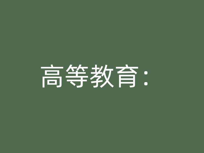 高等教育：