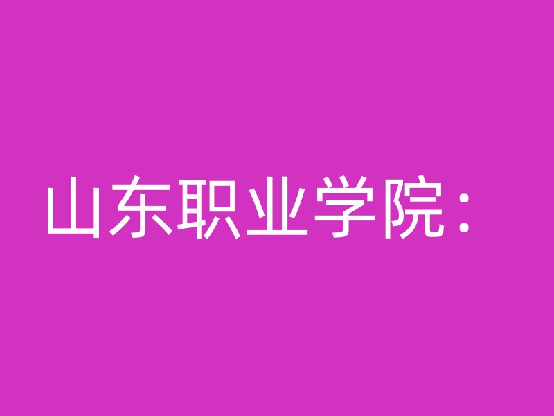 山东职业学院：