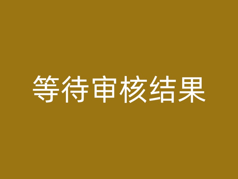 等待审核结果