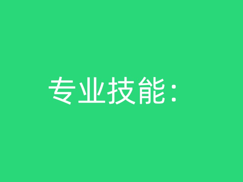 专业技能：