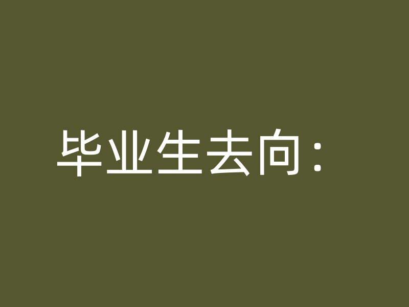 毕业生去向：