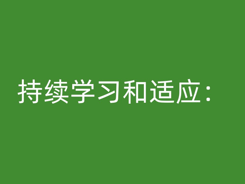 持续学习和适应：