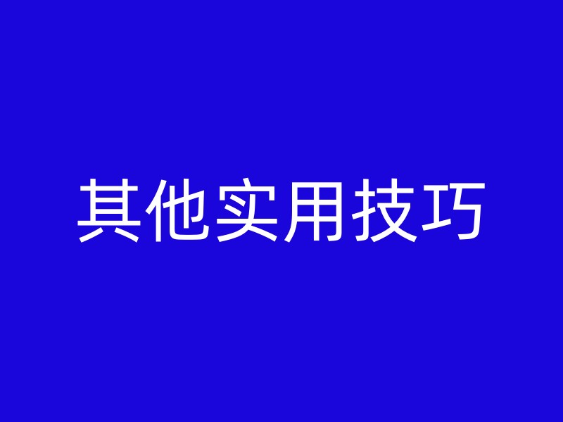 其他实用技巧