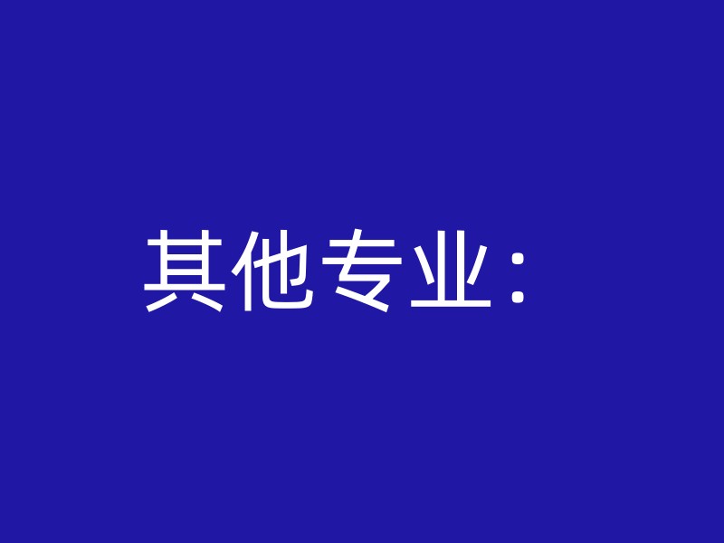 其他专业：