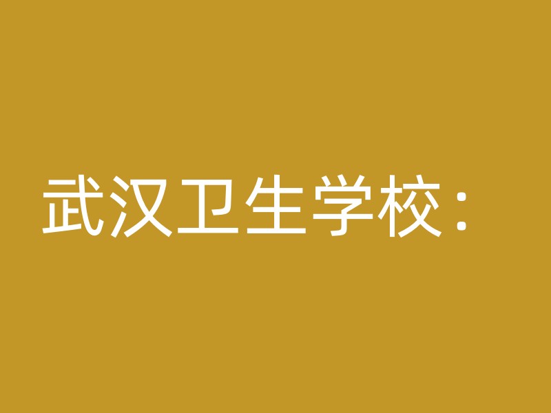 武汉卫生学校：