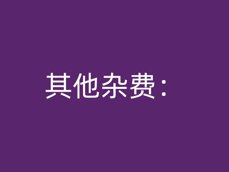 其他杂费：