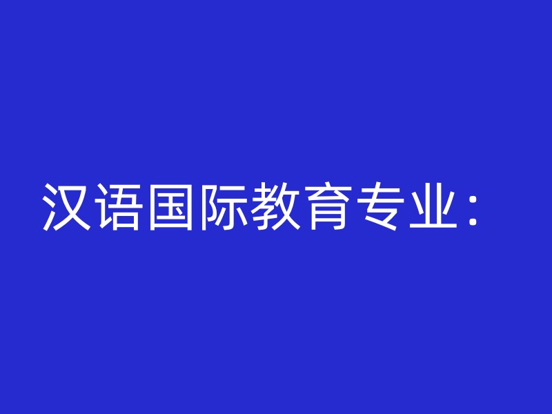 汉语国际教育专业：