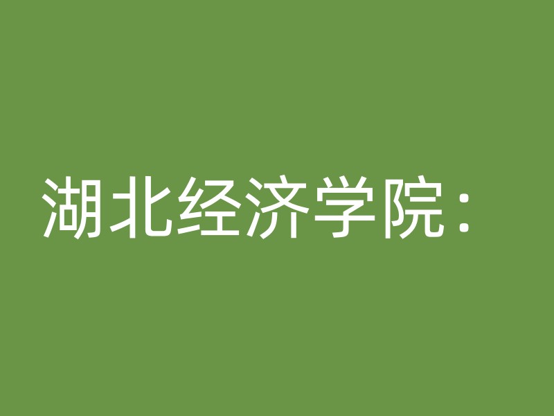 湖北经济学院：