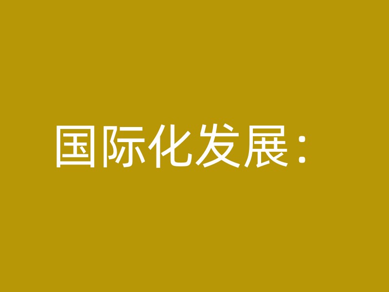 国际化发展：