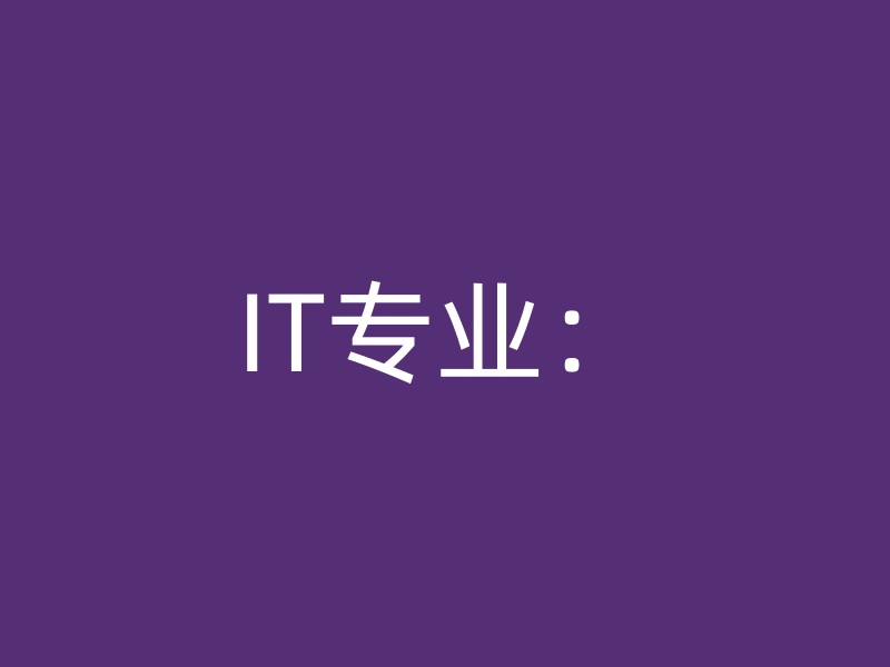 IT专业：