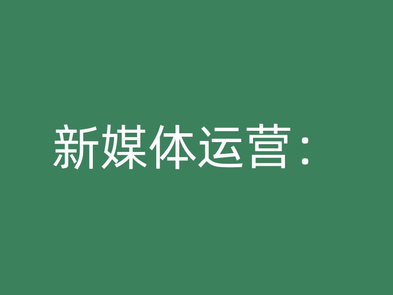 新媒体运营：