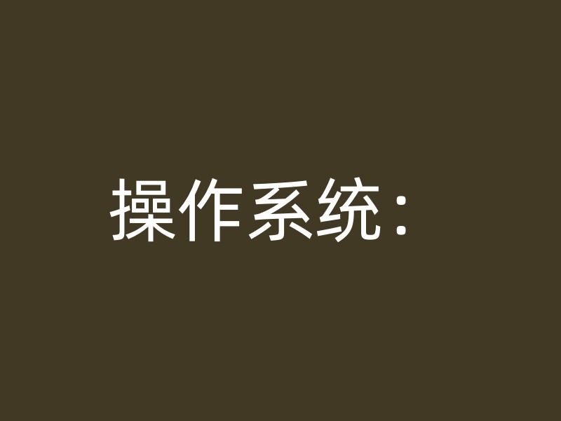 操作系统：