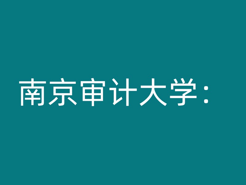 南京审计大学：