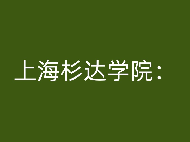 上海杉达学院：