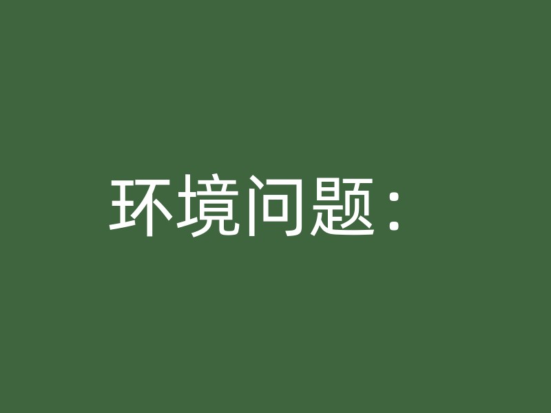 环境问题：