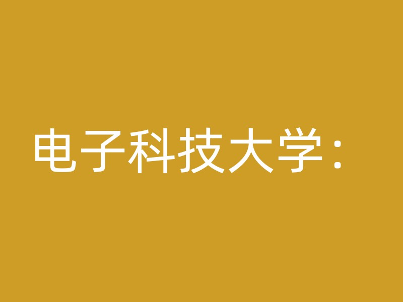 电子科技大学：