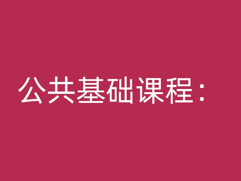 公共基础课程：