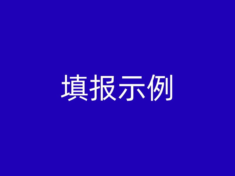 填报示例