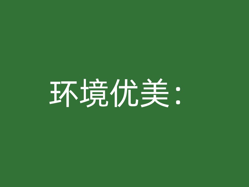 环境优美：