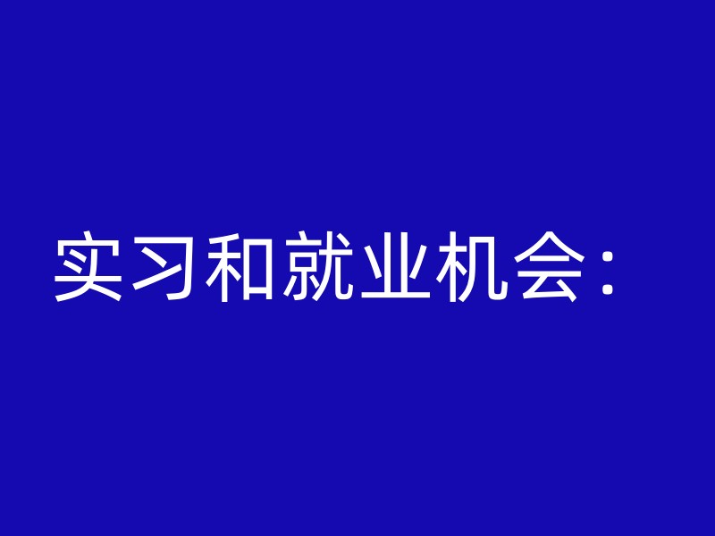 实习和就业机会：