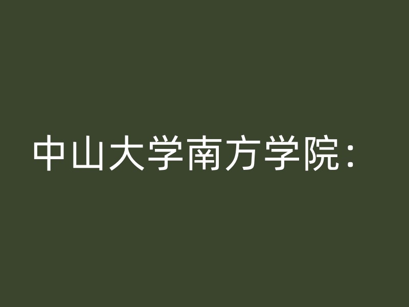 中山大学南方学院：