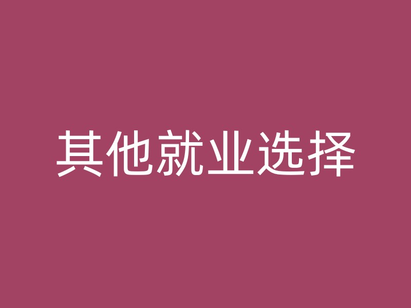 其他就业选择