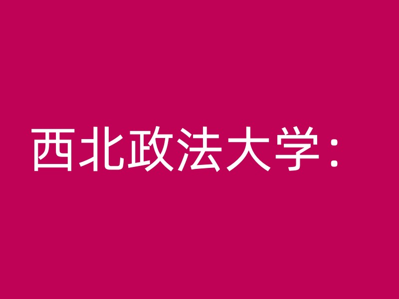 西北政法大学：