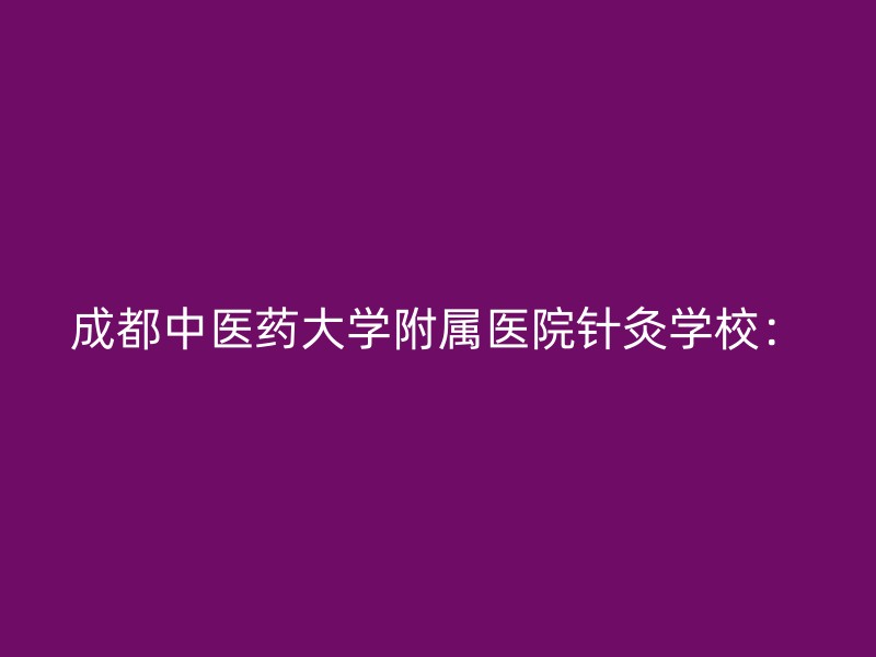 成都中医药大学附属医院针灸学校：