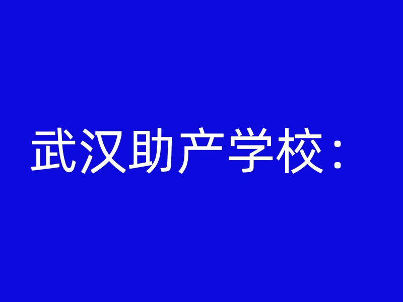 武汉助产学校：