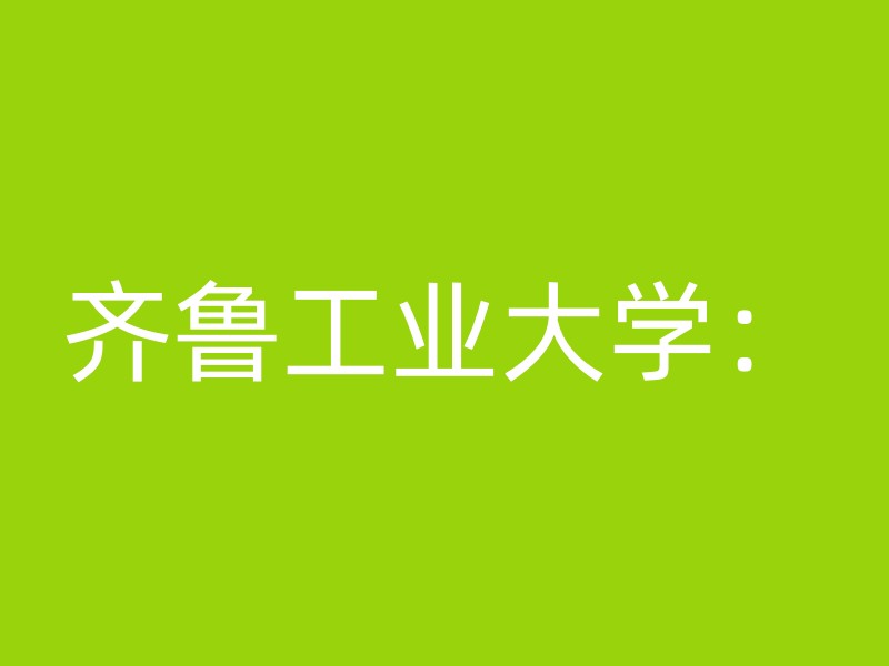 齐鲁工业大学：