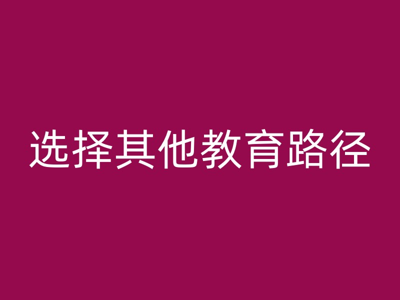 选择其他教育路径