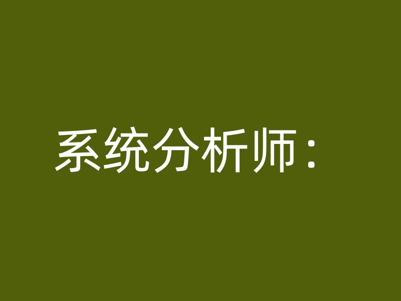 系统分析师：