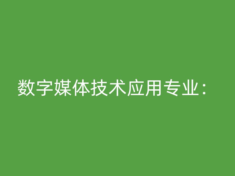 数字媒体技术应用专业：